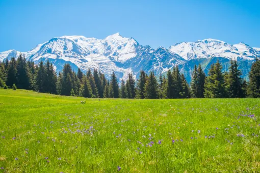 Location de pousettes à Méribel Les Allues, Méribel, CHAMOIS SPORTS